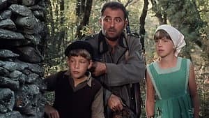 Après la guerre — foto 2