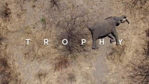 Trophy — foto 3