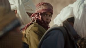 هجّان — foto 8