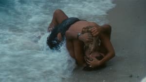 Travolti da un insolito destino nell'azzurro mare d'agosto — foto 6