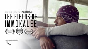 The Fields of Immokalee — foto 1