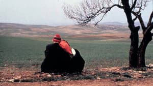 Automne, Octobre À Alger — foto 2