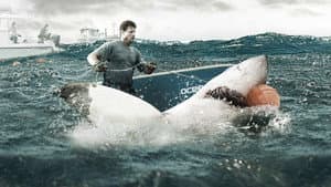 Shark Wranglers — foto 1