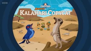 Episodio 8
