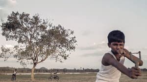 ஐகாட் — foto 4