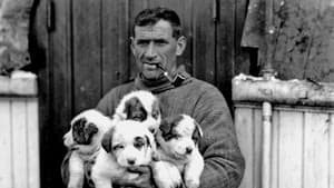 Tom Crean: Antarctica's Forgotten Hero — foto 1