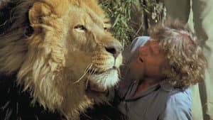 Roar — foto 9