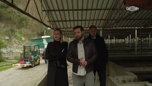 Episodio 14