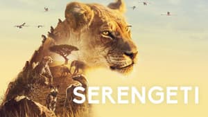 Serengueti — foto 3