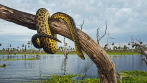 Wild Argentina: Extreme Earth — foto 2