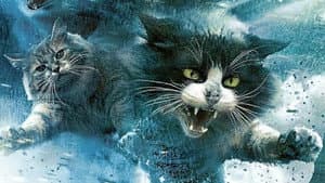 Catnado — foto 2