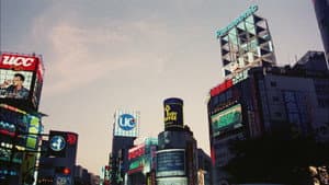愛の新世界 — foto 7