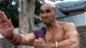 American Shaolin — foto 2