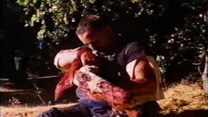 Lunch Meat — foto 2