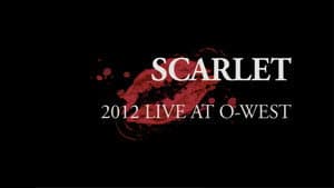Mary's Blood Scarlet -2012 Live at O-West- — foto 1