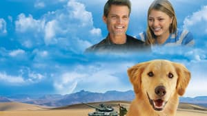 Army Dog — foto 1