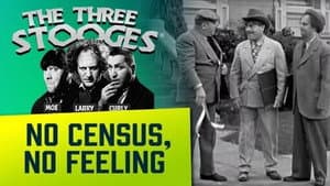 No Census, No Feeling — foto 4