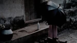 എലിപ്പത്തായം — foto 7