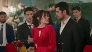 Episodio 34