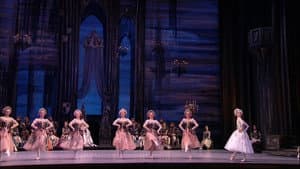 Tchaikovsky - Swan Lake (The Bolshoi Ballet Collection) — foto 8