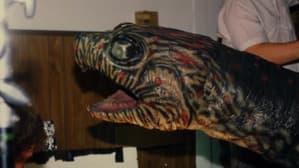 Snapper — foto 2