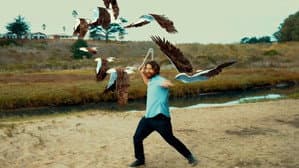 Birdemic 3: Sea Eagle — foto 3