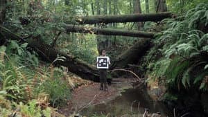 Humboldt USA — foto 1