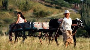 Dos mujeres y una vaca — foto 1