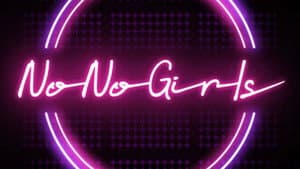 No No Girls — foto 1