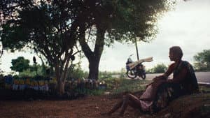 மயிலா — foto 3