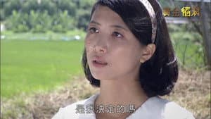 黄金稻浪 — foto 1