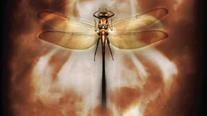 Coheed and Cambria: Neverender — foto 1