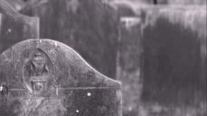 Eternity's Void — foto 1