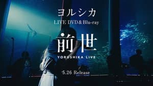 ヨルシカ Live「前世」 — foto 2