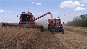 Vers un crash alimentaire — foto 1