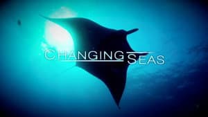 Changing Seas — foto 1