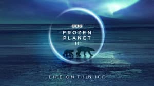 Frozen Planet II — foto 2