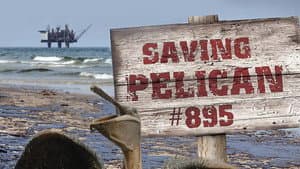Salvando al Pelícano 895 — foto 1