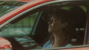 Albatross — foto 2