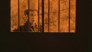 Les Aventures de Robert Macaire — foto 12