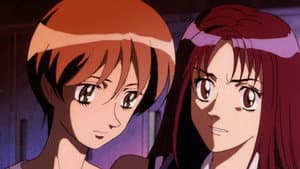 Episodio 24