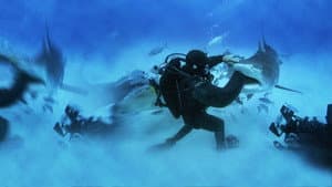 Man vs. Shark — foto 1