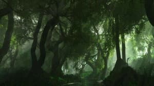 Harry Potter — foto 12