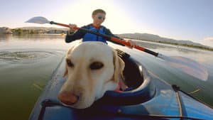 It's a Dog's Life with Bill Farmer — foto 8