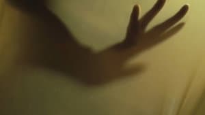 Ecdysis II — foto 1
