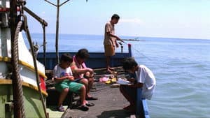 熱帶魚 — foto 5