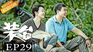 Episodio 29