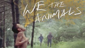 Nosotros los animales — foto 5