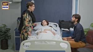 Episodio 33