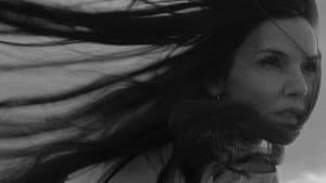 To the day I die (songs of the sea) — foto 3